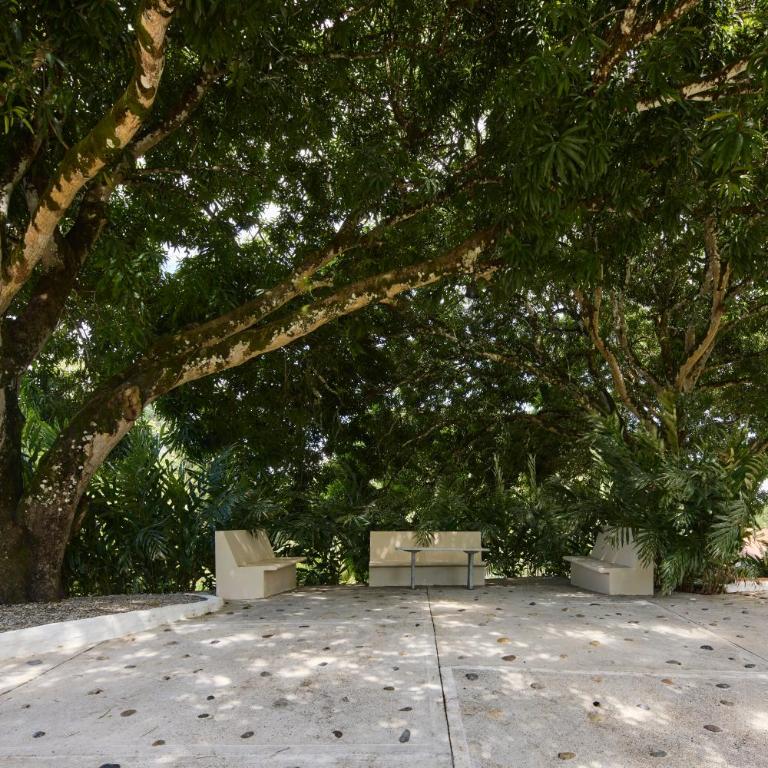 Tropical Luxury Experience in Los Mangos! - Room #1584335501 - 35