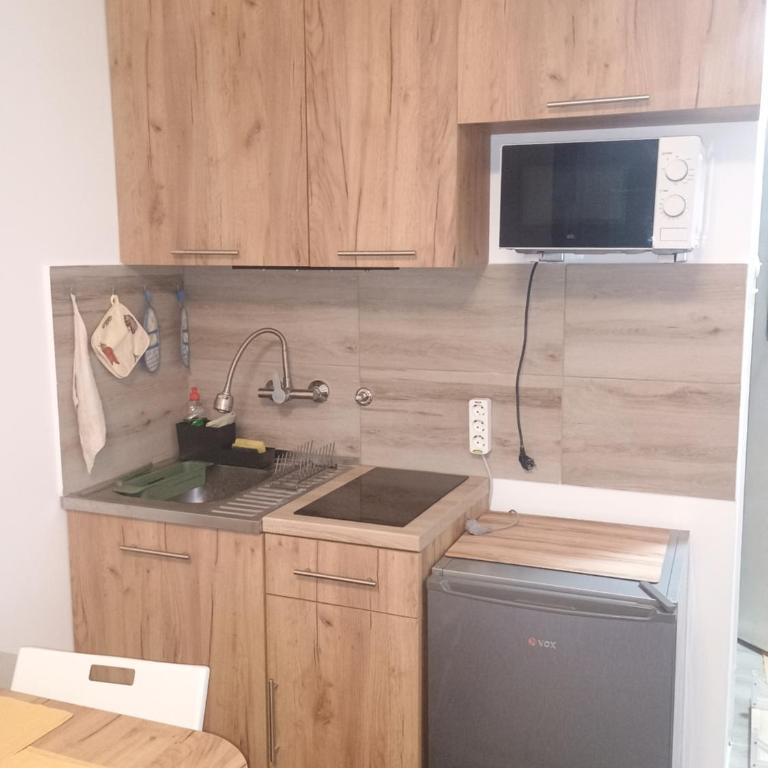 River Sava apartman - Apartman sa 1 Spavaćom Sobom - 5