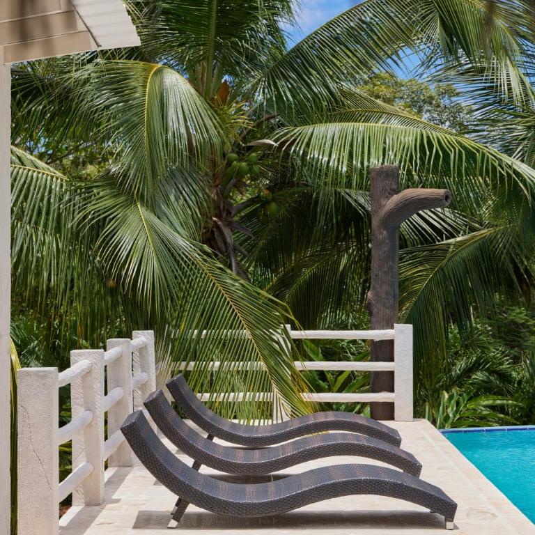Tropical Luxury Experience in Los Mangos! - Room #1584335501 - 45