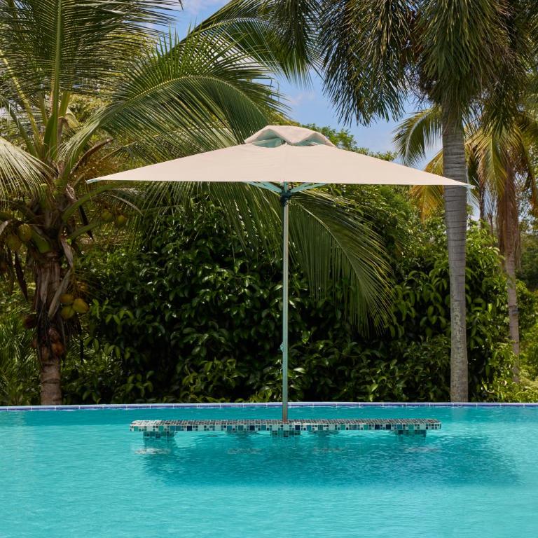 Tropical Luxury Experience in Los Mangos! - Room #1584335501 - 62