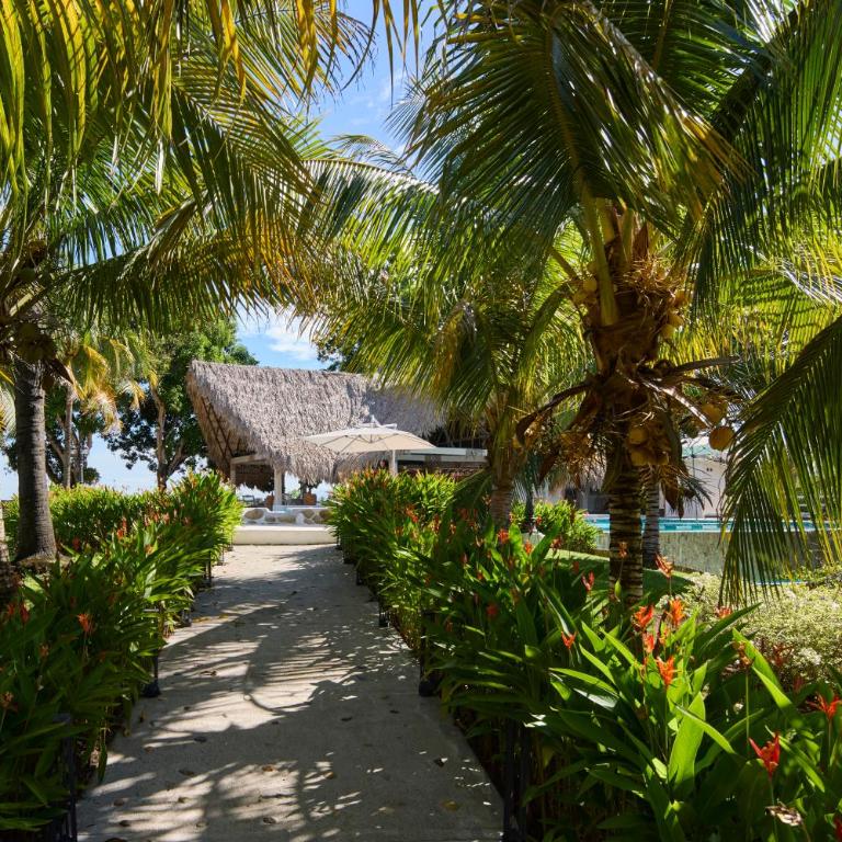 Tropical Luxury Experience in Los Mangos! - Room #1584335501 - 83