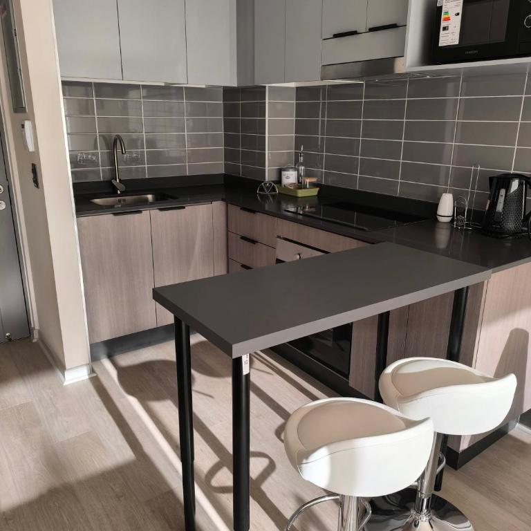 Centro de Santiago - Room #1584342301 - 2