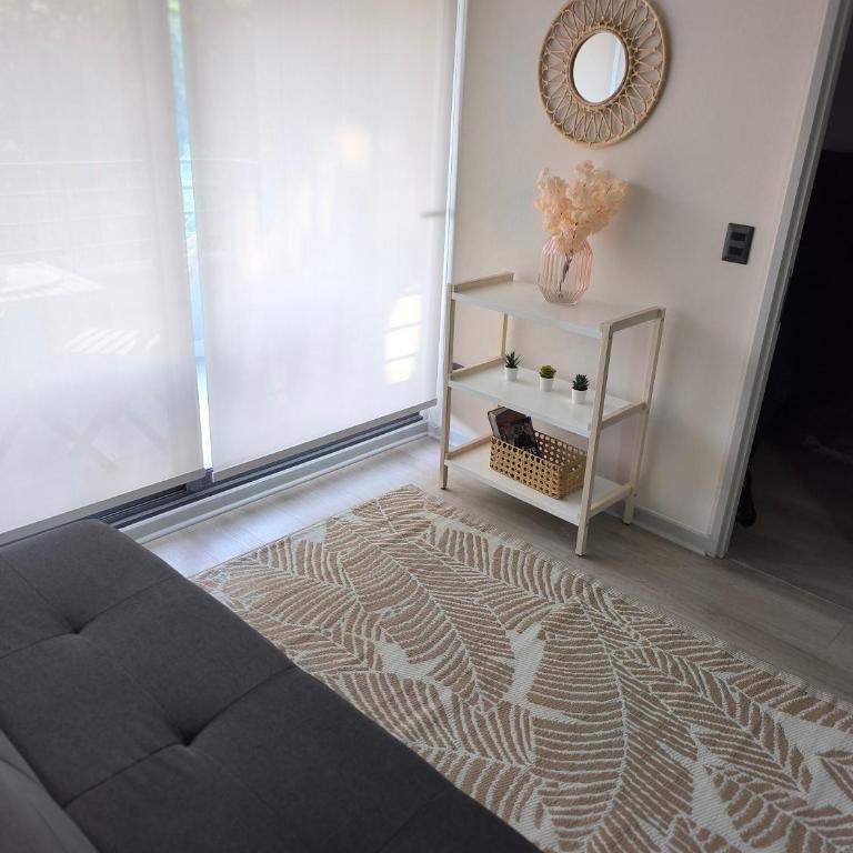 Departamento en Santiago - One-Bedroom Apartment - 6