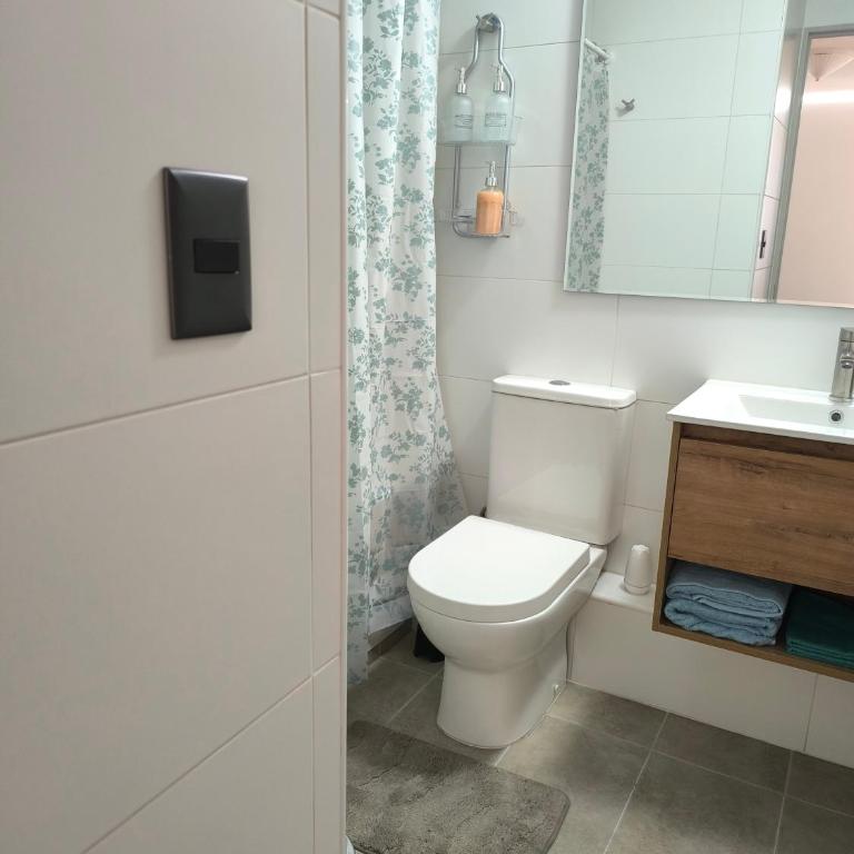 Departamento en Santiago - One-Bedroom Apartment - 11
