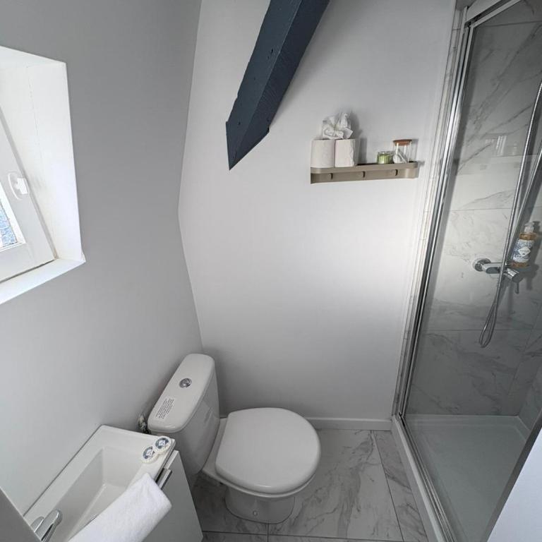 Maisons des Gemmes divisés en 9 studios - Appartement - 20
