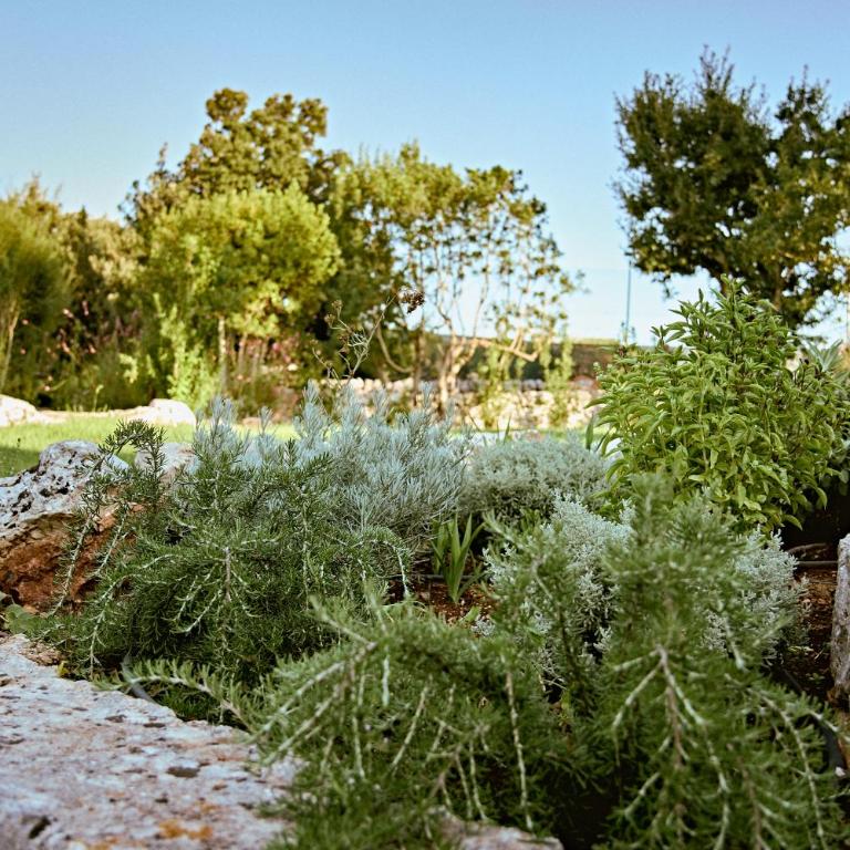 Trullo Magia By Tecla Collection - Villa Deluxe - 45