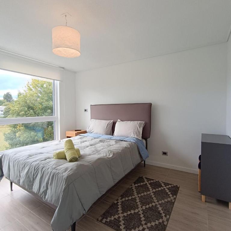 Isla Teja Accommodation - Room #1584392601 - 2