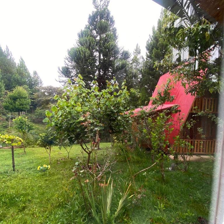 Cabañas Vivenciales La Colina - Cottage with Garden View - 2