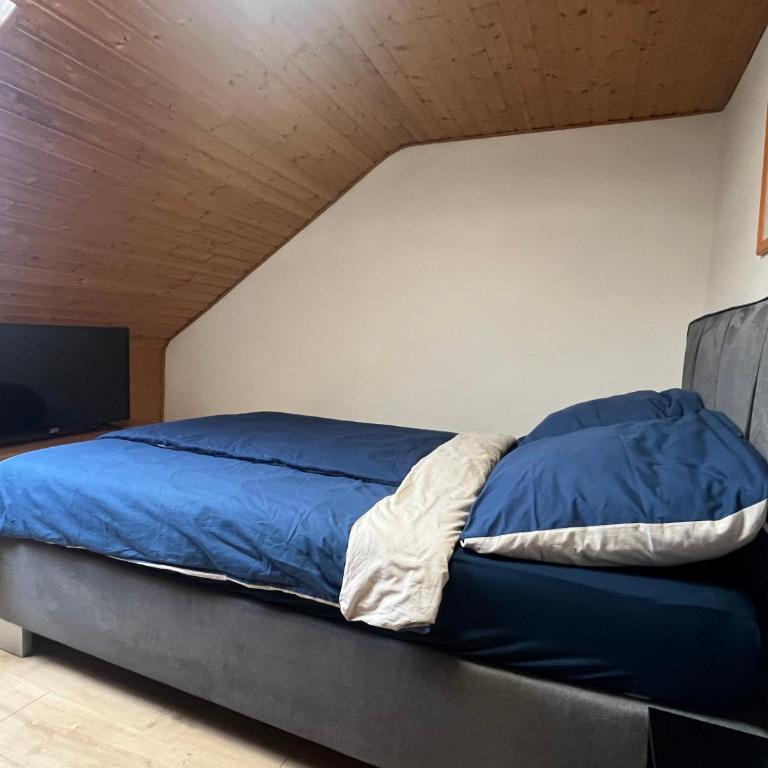 Beishan Appartements Nürnberg in Zentrum Dachgeschoss - Apartamento de 2 dormitorios - 5