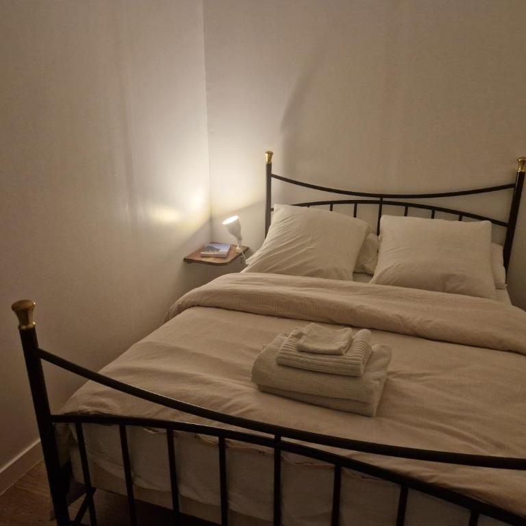 1 bedroom apartment near town centre and CHU - Appartement 1 Chambre - 7