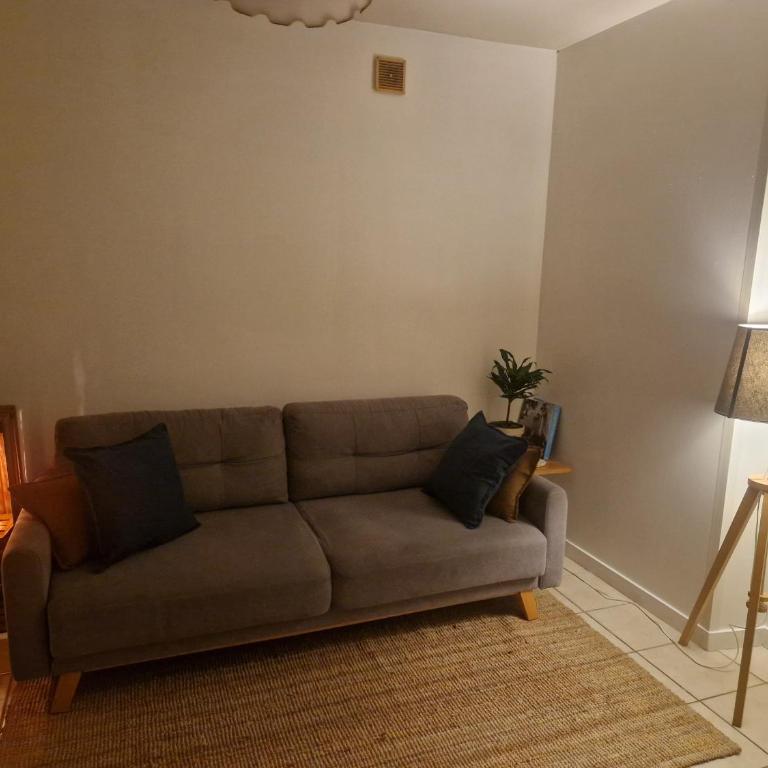 1 bedroom apartment near town centre and CHU - Appartement 1 Chambre - 5