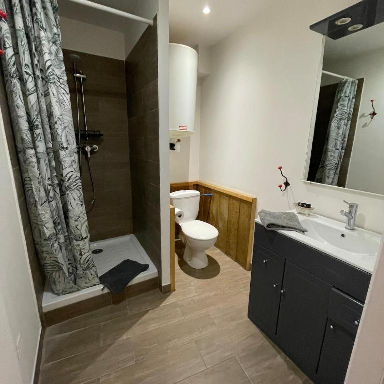 Location studio centre ville Isle sur la sorgue - Apartamento de 1 dormitorio - 10