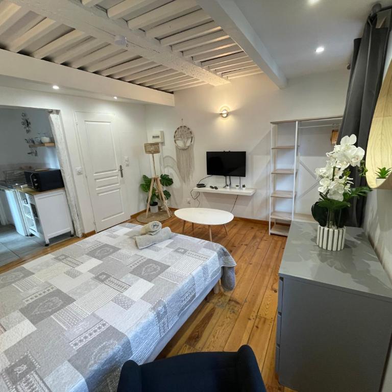 Location studio centre ville Isle sur la sorgue - Apartamento de 1 dormitorio - 12