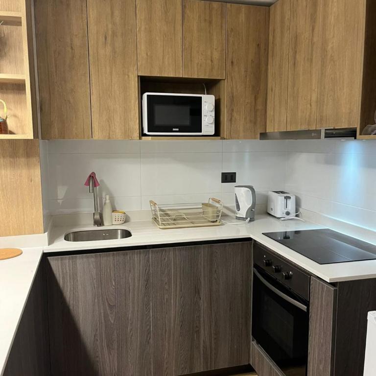 Apartamento centro de Concepción - One-Bedroom Apartment - 6