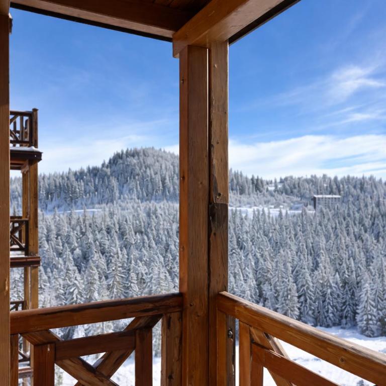 PeakView 508 Cozy Alpine Apartment - u sklopu hotela Vucko Jahorina - One-Bedroom Apartment - 1