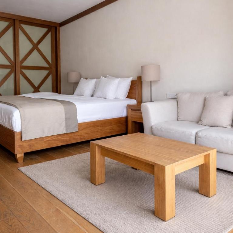 PeakView 508 Cozy Alpine Apartment - u sklopu hotela Vucko Jahorina - One-Bedroom Apartment - 8