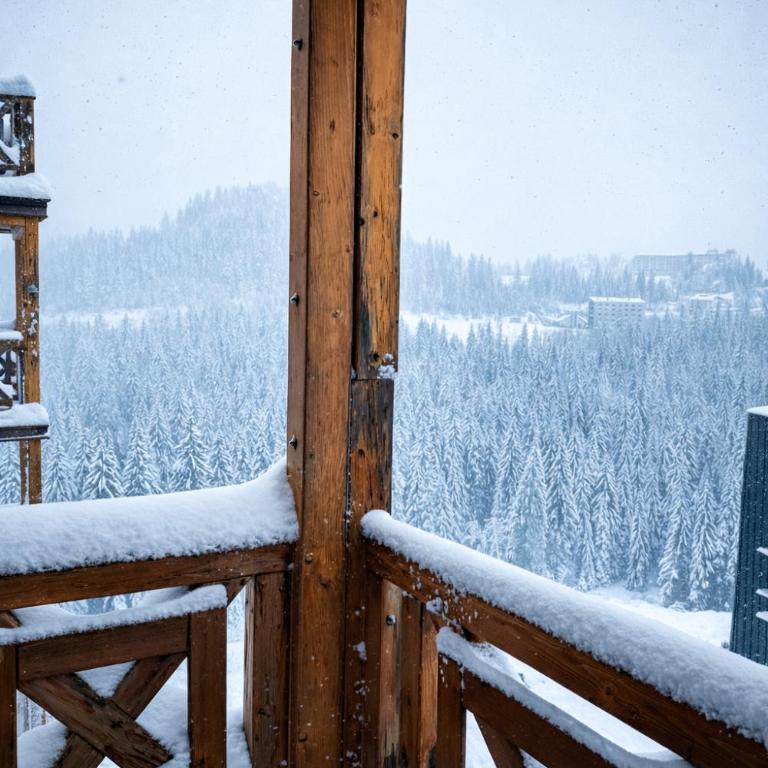 PeakView 508 Cozy Alpine Apartment - u sklopu hotela Vucko Jahorina - One-Bedroom Apartment - 12