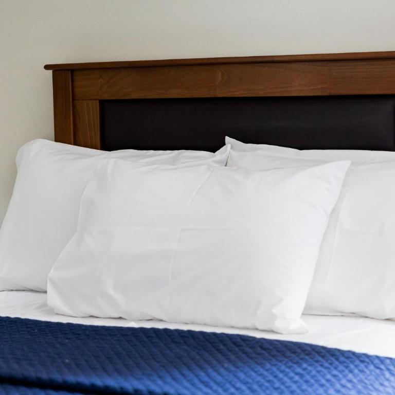 San Miguel Awanka Hotel - Habitación Individual Estándar - 5