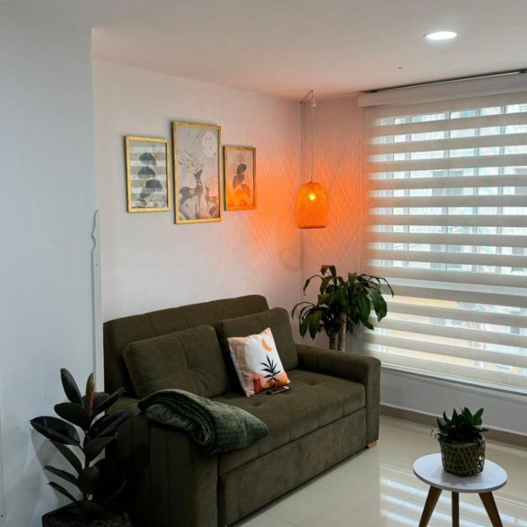 Hermoso apto 301 san gil plaza - Room #1584430101 - 10