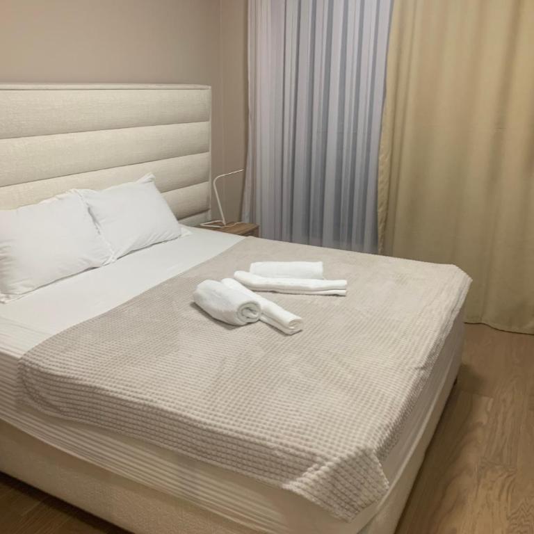 BW Exclusive apartment - Apartman s 2 Spavaće Sobe sa Balkonom i Terasom - 9