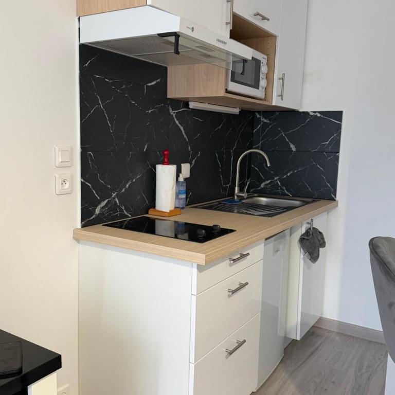 Le Saphir Nid Aix simple memorable centre et lac à pied - Apartment mit 1 Schlafzimmer - 3