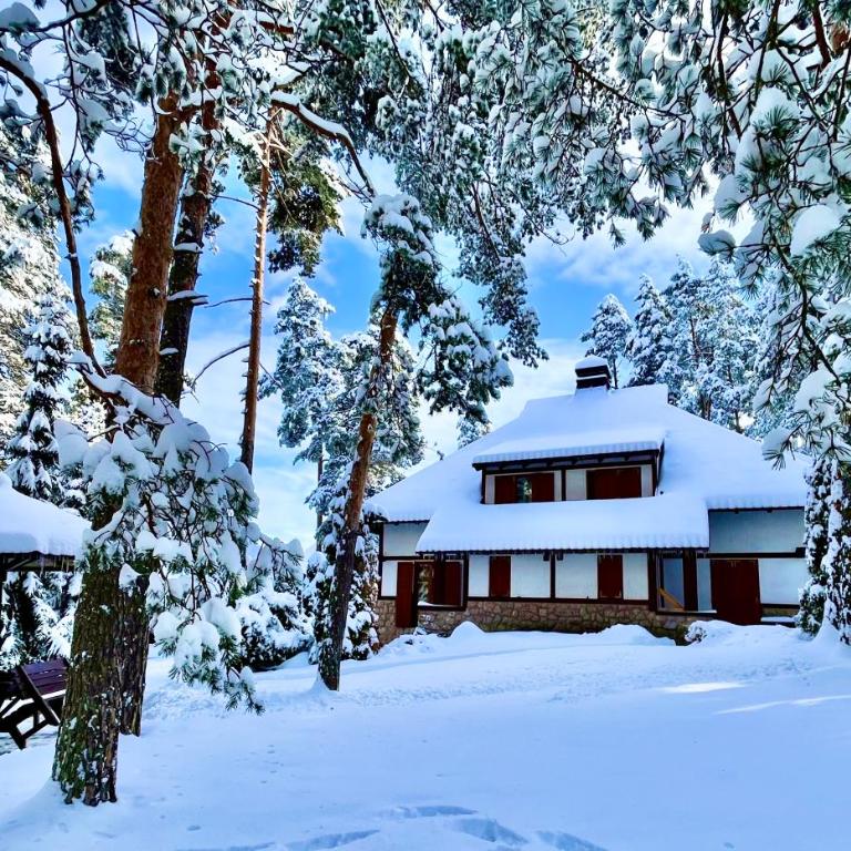 KRALJEVI KONACI - Vila Zelena Dolina - Zlatibor - Villa with Garden View - 47