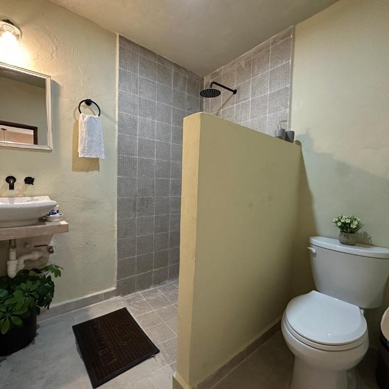 Departamento Moderno Valladolid - Apartamento de 1 dormitorio - 4
