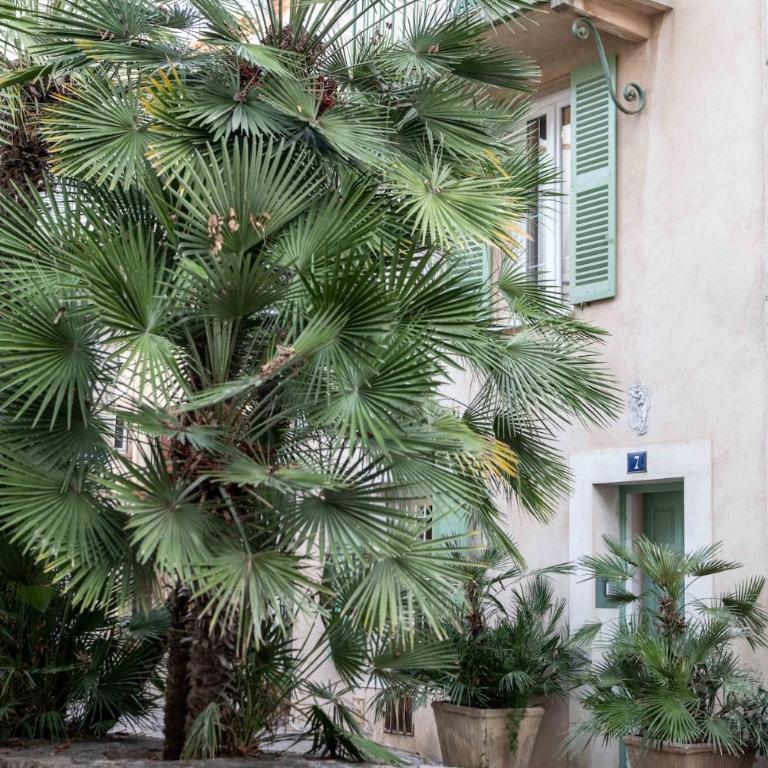 NEW - Luxury house near the beach 3BDR-3BTH - Appartement 3 Chambres - 22
