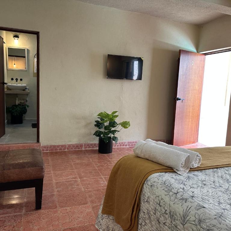 Departamento Moderno Valladolid - Apartamento de 1 dormitorio - 3