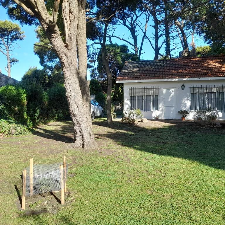 Casa Alfar - Room #1584466501 - 1
