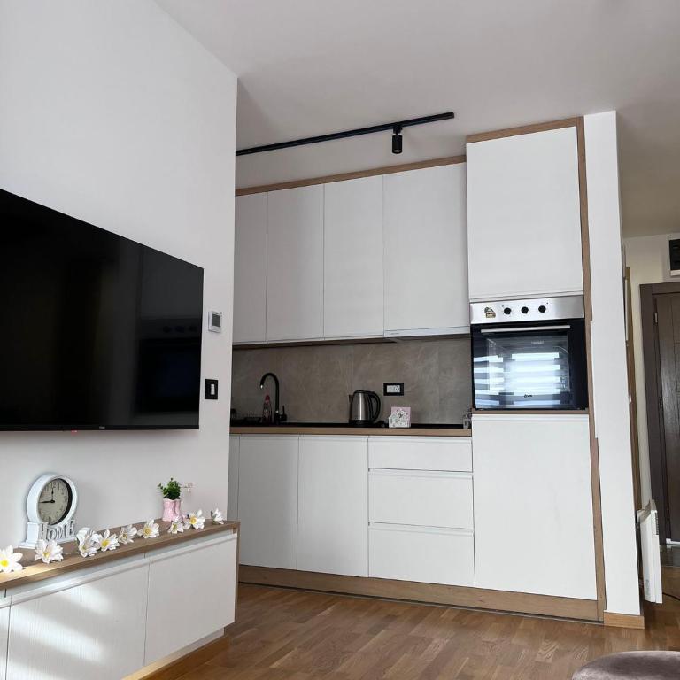 Zlatni Pogled - One-Bedroom Apartment - 6