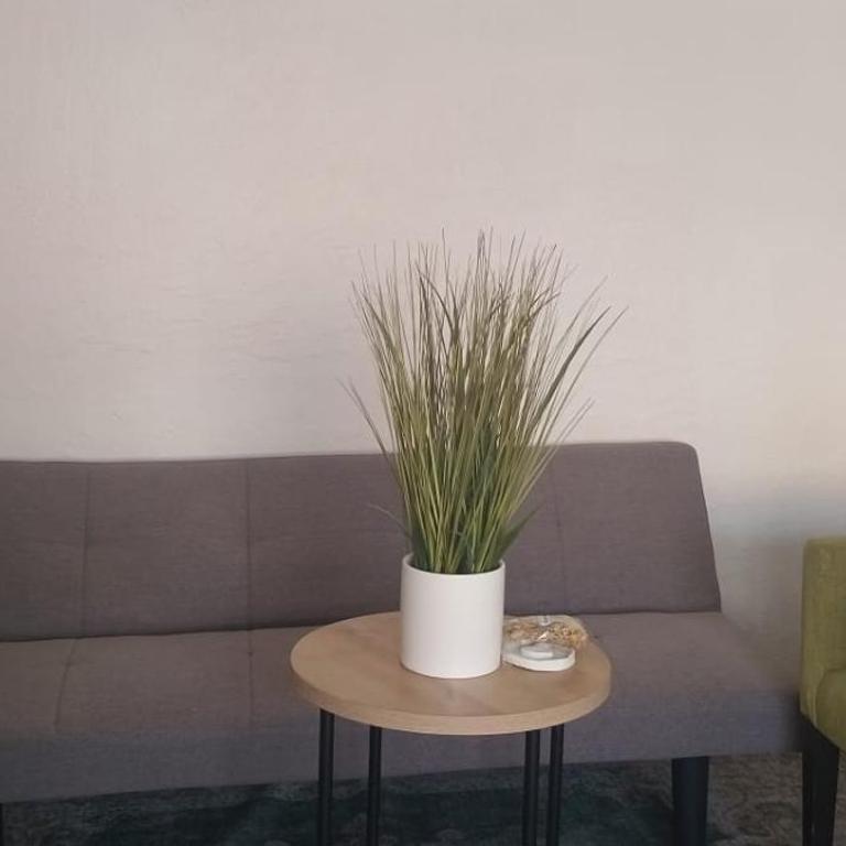 Departamentos Brisas Rent a Home - Two-Bedroom Apartment - 6