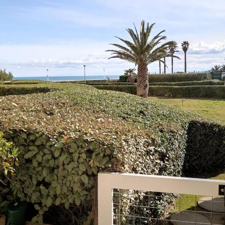Appartement RDC avec Terrasse Accès Mer pour 4, à Canet-Plage - FR-1-696-134 - Appartamento - 9