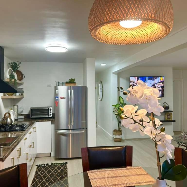 2 Bedrooms apartment Zona Rio recien remodelado - Two-Bedroom Apartment - 8