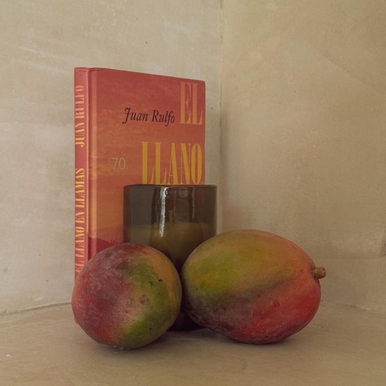 Aahal 4 Holistic Living Retreat en Tulum 4pax - Apartamento de 2 dormitorios - 19