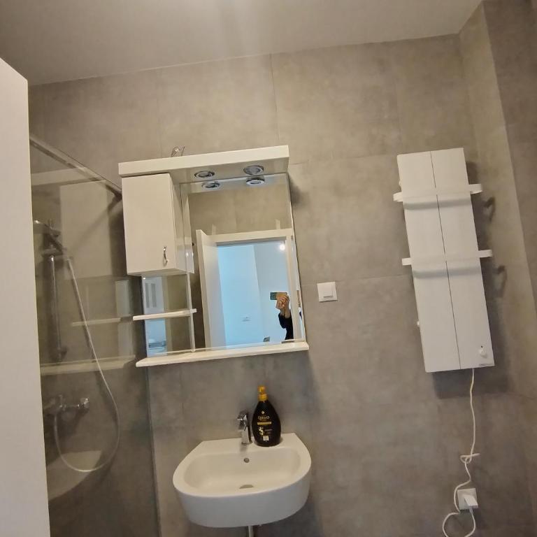 Apartman Gala Beograd - Apartman sa 1 Spavaćom Sobom - 3