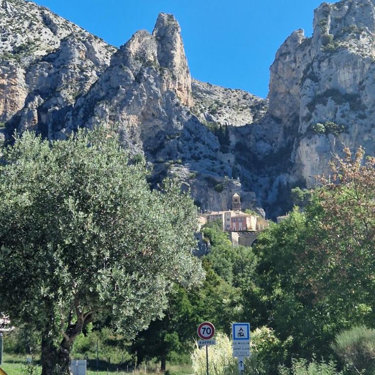 Le jas fleuri - Appartement 1 Chambre - Vue sur Jardin - 18