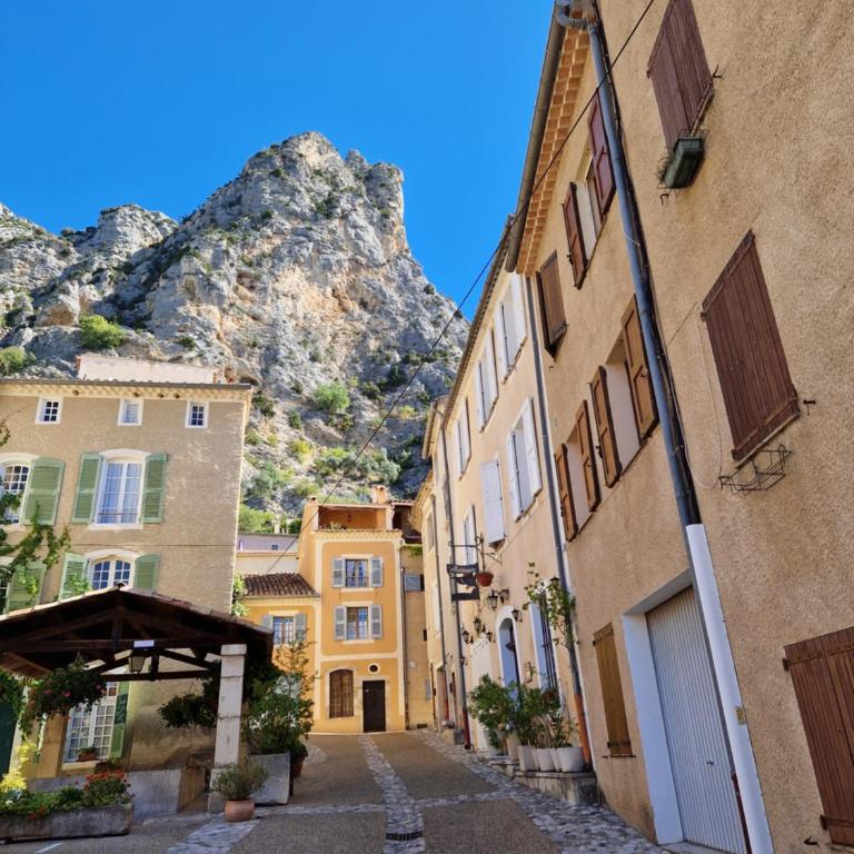 Le jas fleuri - Appartement 1 Chambre - Vue sur Jardin - 26