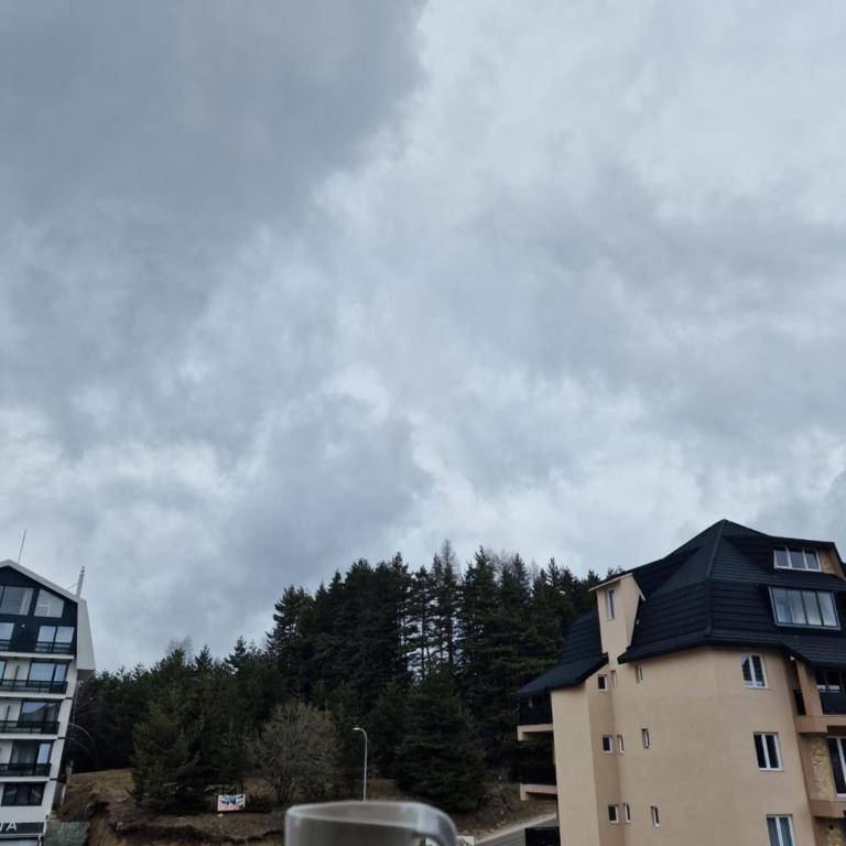 Whisper apartments Kopaonik - One-Bedroom Apartment - 8