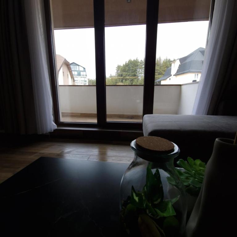 Whisper apartments Kopaonik - One-Bedroom Apartment - 14