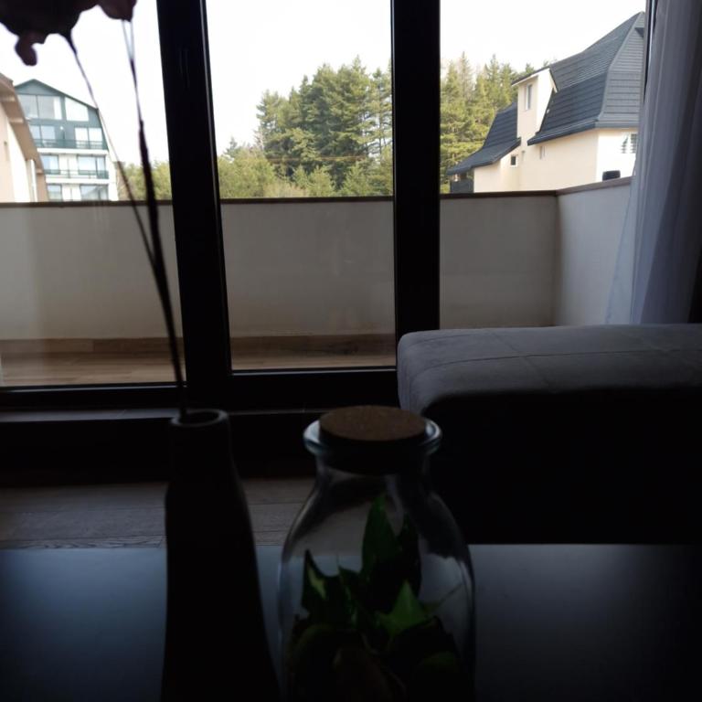 Whisper apartments Kopaonik - One-Bedroom Apartment - 23