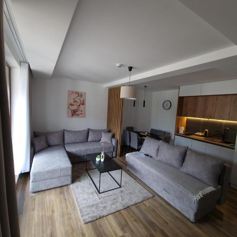 Whisper apartments Kopaonik - One-Bedroom Apartment - 21