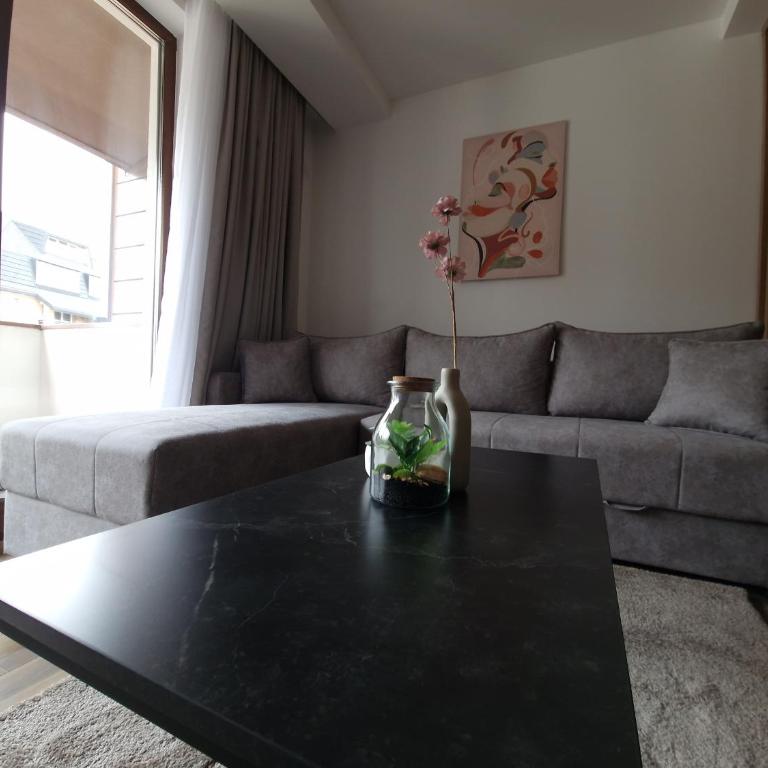 Whisper apartments Kopaonik - One-Bedroom Apartment - 19