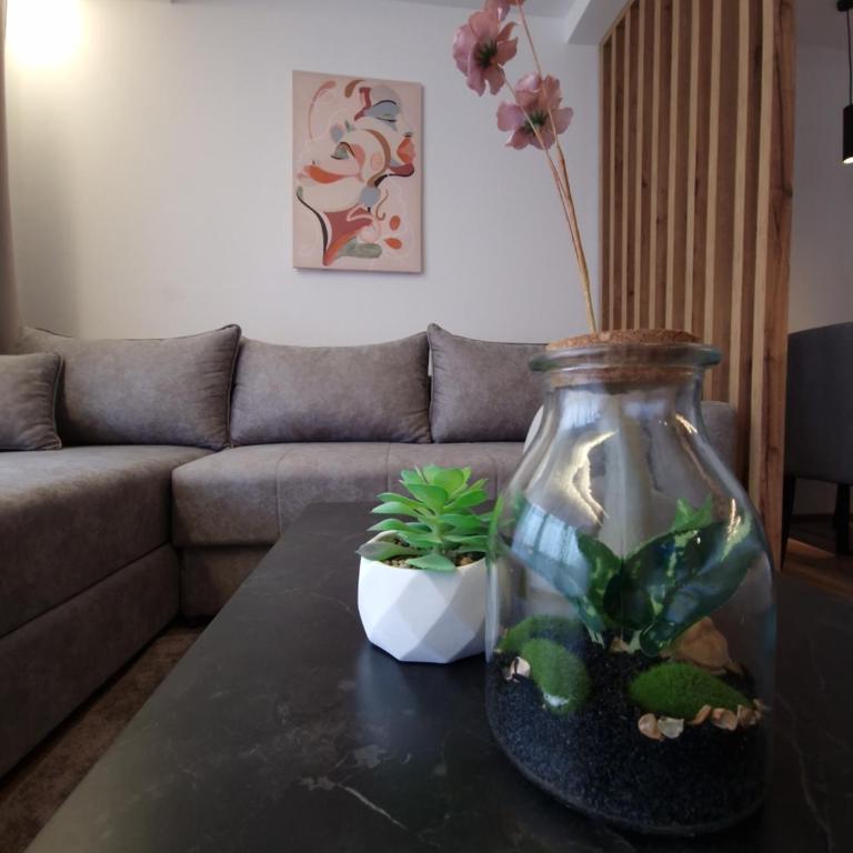 Whisper apartments Kopaonik - One-Bedroom Apartment - 20
