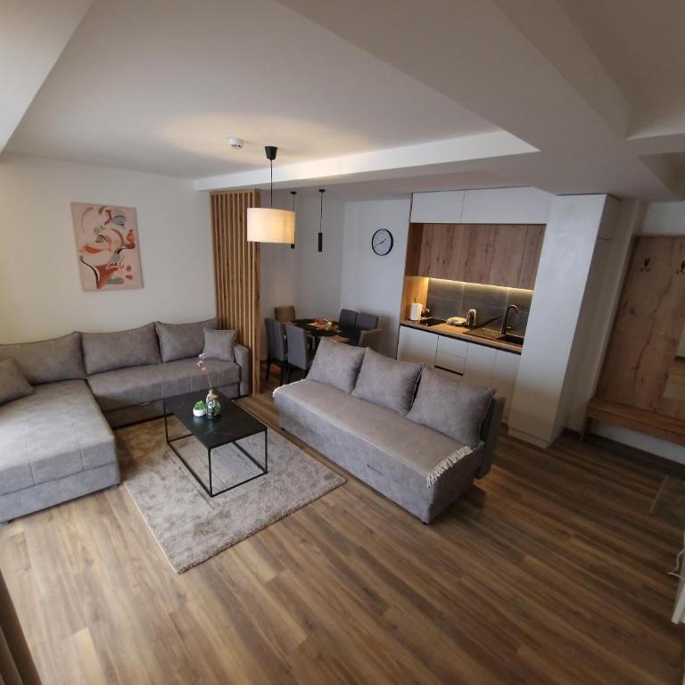 Whisper apartments Kopaonik - One-Bedroom Apartment - 30