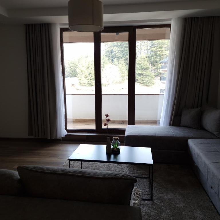 Whisper apartments Kopaonik - One-Bedroom Apartment - 12