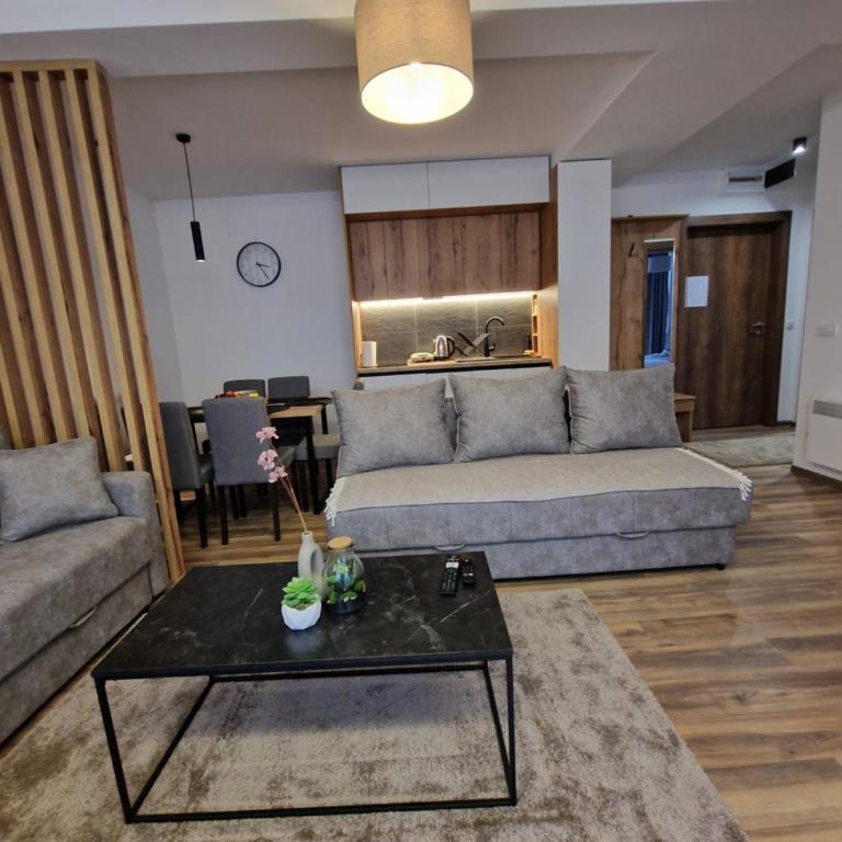 Whisper apartments Kopaonik - One-Bedroom Apartment - 32
