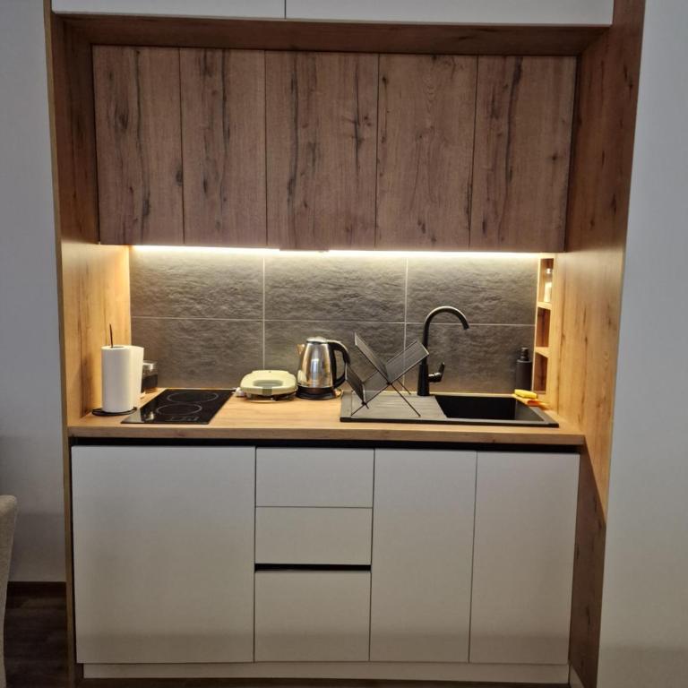 Whisper apartments Kopaonik - One-Bedroom Apartment - 43
