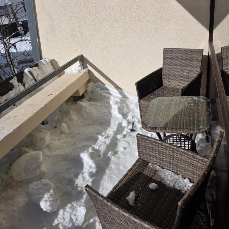 Waldfeder Apartment mit Pool und Fitnessraum, neu und vollsaniert - Apartment mit 1 Schlafzimmer und Blick auf den Park - 8