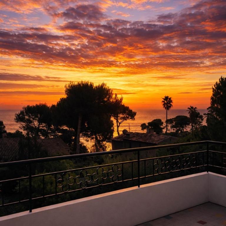 Palmiers et pins face à la mer dans une Villa classée du Cap d Antibes - Three-Bedroom Apartment - 12